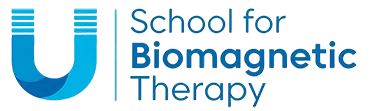 Biomagnetic Therapy Training